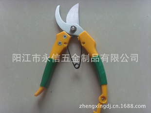 ���@����֦���辰���̨��@ˇ�����P䓼���������ժ������֦����