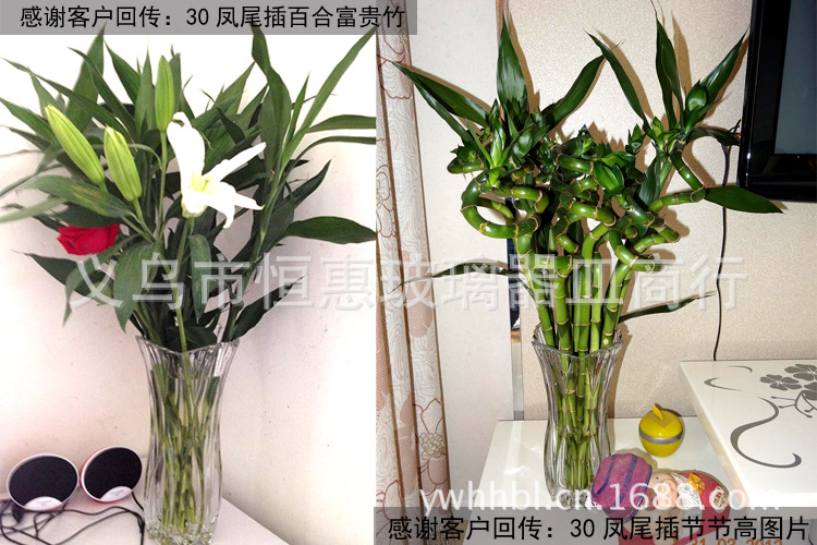 白菜凤尾白合节节高