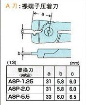 A8P2.0  ���Ӊ����Q ����^ �ձ�NILE ���R�����F��