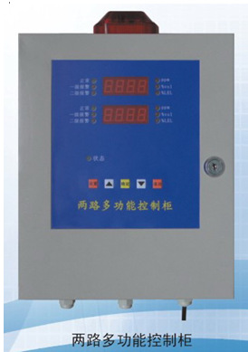菲恩特仪器 FN单/双路多功能报警仪 报警控制器