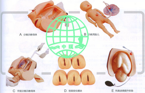 F54型 高级腹部触诊、分娩机综合模型,妇婴技能训练模型,解剖模型