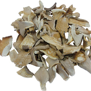 ���lƽ��Ƭ ƽ���l