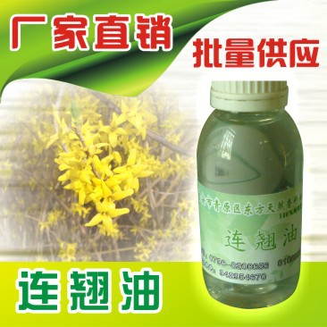 东方天然香料油提炼厂供应连翘油   厂家供应 量大从优