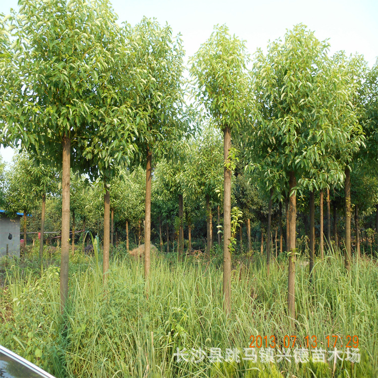 8-10��������