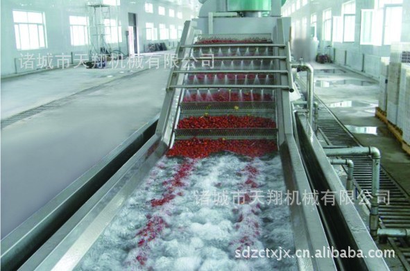 大枣清洗机天翔生产蔬菜水果果蔬售后保障果蔬清洗设备