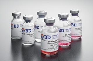 BD356234 基质胶 matrigel   5ML细胞培养蛋白