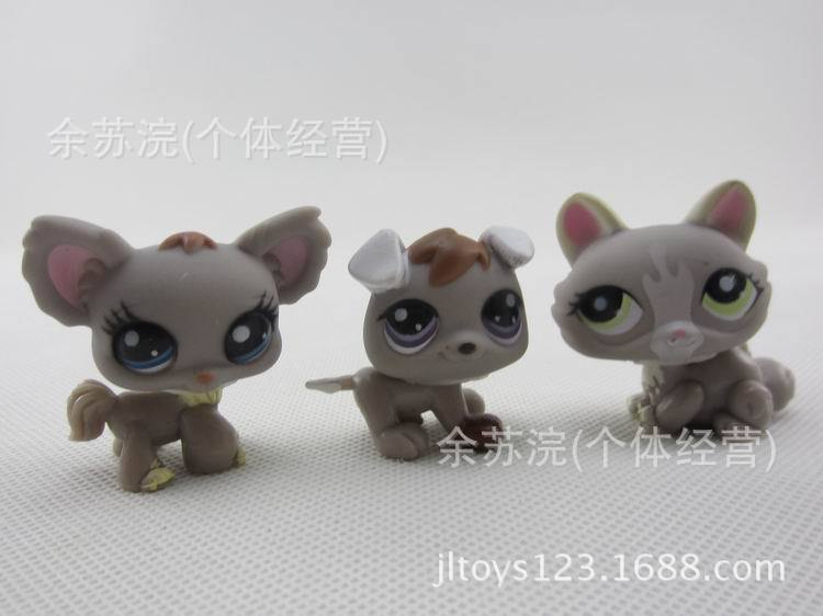 调整大小 IMG_6264