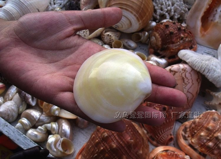 4036049_191227057611_2