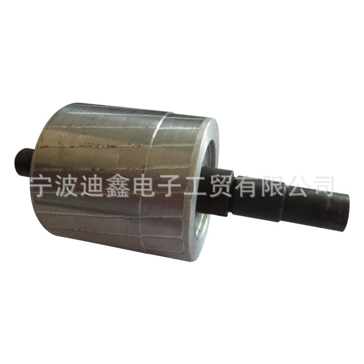 步进电机转子 直流电机转子 微型电机转子 有刷电机转子