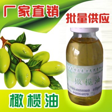 东方天然香料油提炼厂供应橄榄油 厂家供应 量大从优