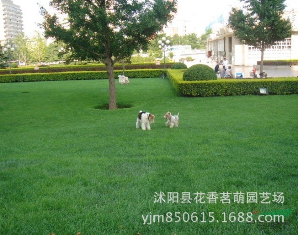 QQ图片20130818074526