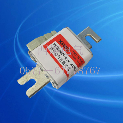 供应RSM03MZ110KN特殊快速熔断器