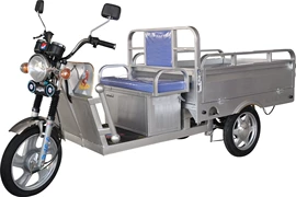 三轮车;电动三轮车;其他电动车