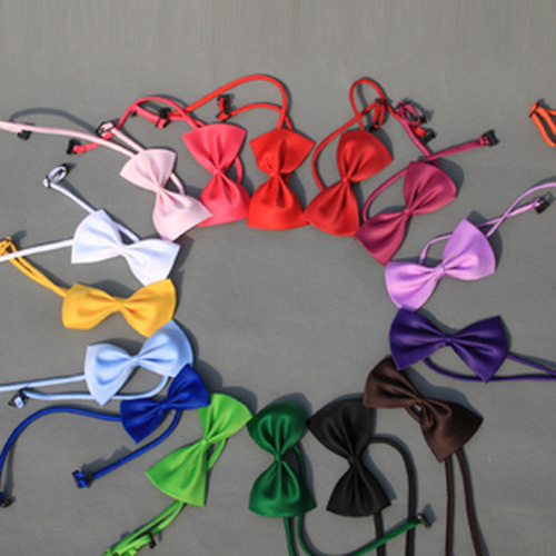 长期供应宠物配饰蝴蝶结 多色可选 多彩宠物领结厂家现货批发|ms