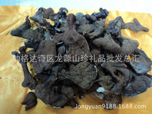 产地直销灵芝批发东北灵芝大兴安岭灵芝野生黑灵芝森林天然药材