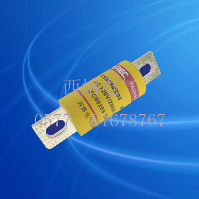 RSB38MB66 A50P FWA FWX 快速熔断器