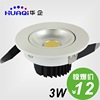  COB 3W led  12Ԫ/ TH855