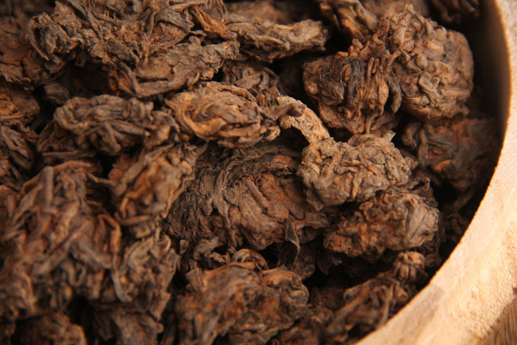 春茶金芽茶頭 (12)