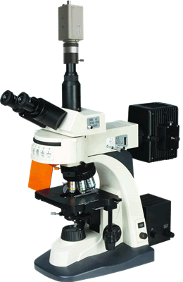 BM-21AYC电脑型落射荧光显微镜  