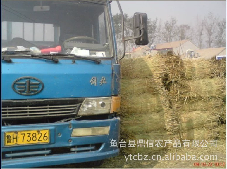 [Сухая солома] Dingxin продает большое количество сухой соломы от 5 тонн