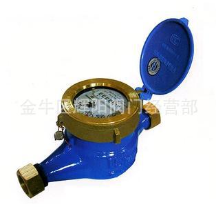 现货供应 水表 锦城/蜀水/日月/宁波自来水牌水表 旋翼式水表LXS