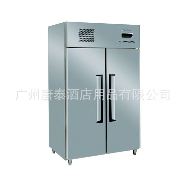 厂家生产冷藏设备保鲜设备厨房设备1.0LG2双门冷柜（风冷）