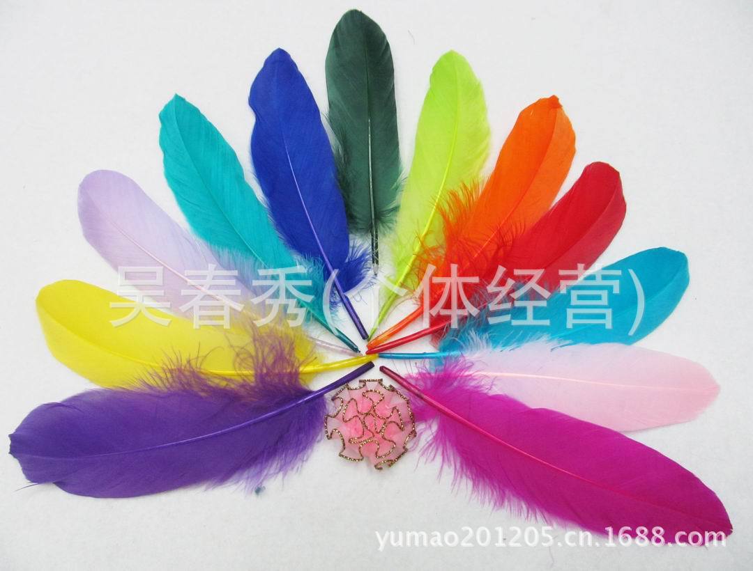 调整大小 IMG_1754