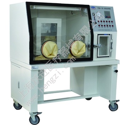 Anaerobic incubator YQX-II