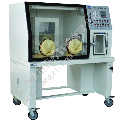 厌氧培养箱YQX-II |ms