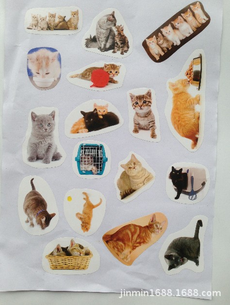 厂家供应西瓜不干胶标签贴纸/水果标签贴支持定制