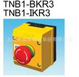 优惠销售供应正宗台湾 天得tend TN2系列/并装防水按钮控制盒