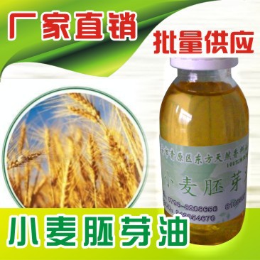 东方天然香料油提炼厂供应小麦胚芽油 厂家供应 量大从优
