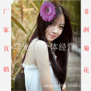 �S��ֱ�N�^l�14CM�����Ʒ���޾�̫ꖻ��ṩ�Ԍ��赸�����