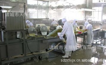 厂家供应 酱菜脱盐流水线     欢迎选购售后保障腌制全自动