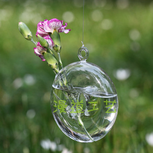 Creative crystal transparent fashionable decorations for home use