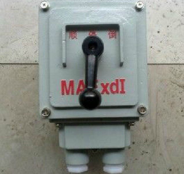 隔爆倒顺开关 防爆可逆倒顺开关BQXN-60A BQXN-100A