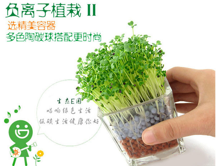 302874141_115396464[1]