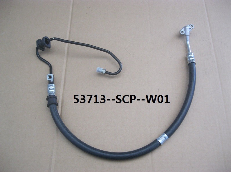 53713-SCP