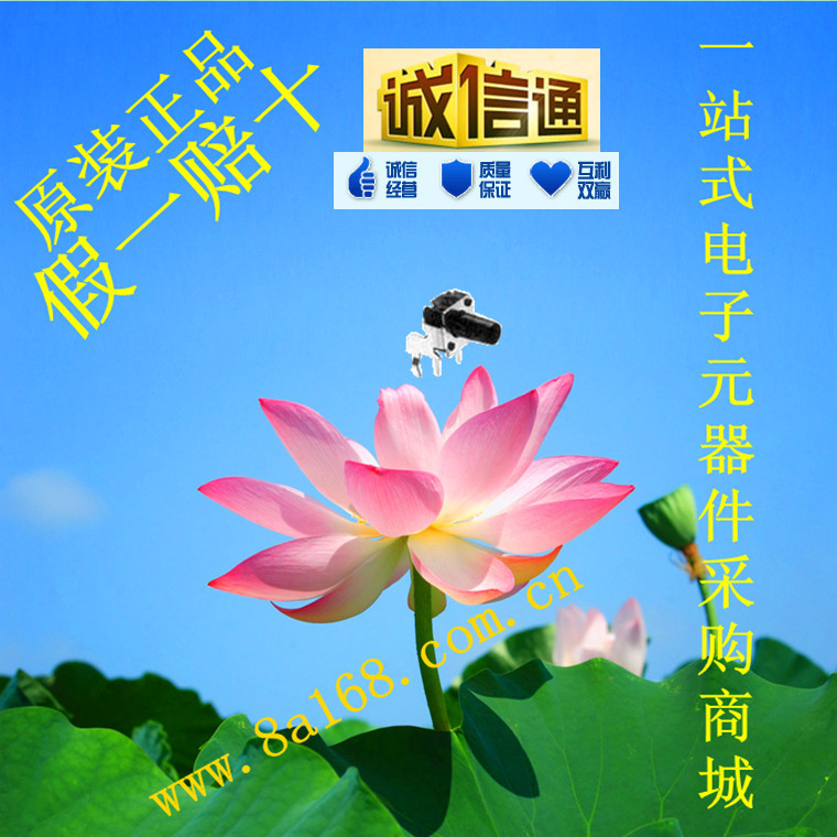 现货供应TE/泰科 FSMRA1J 触觉开关 R/A 原装正品