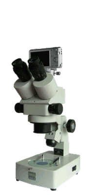 XTZ-EAC连续变倍体视显微镜  |ru