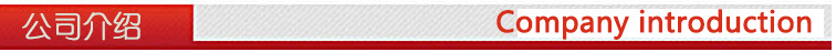 公司介绍