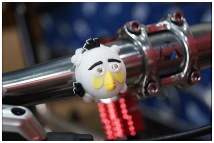 Lumière vélo - Frog Lumières - Ref 2398925 Image 11