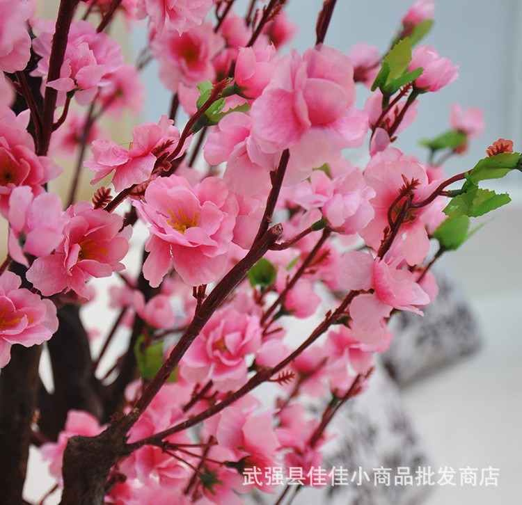 T2g.zzXo0aXXXXXXXX_!!182689432