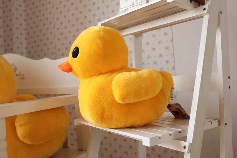 giant duck teddy