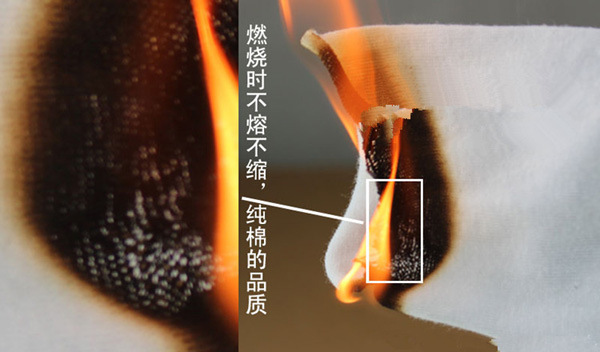 T2Ntt0XglcXXXXXXXX_!!900088460