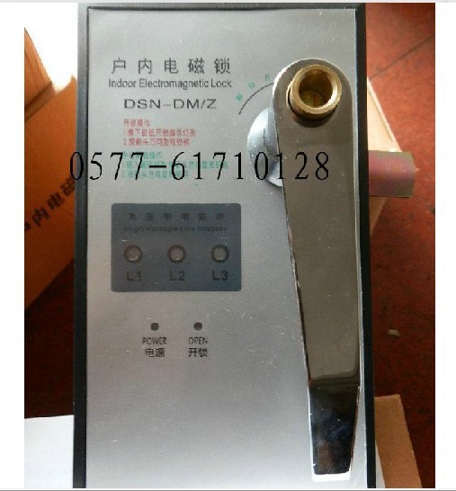 户内电磁门锁 电磁锁DSN-DMZ DSN-DMY