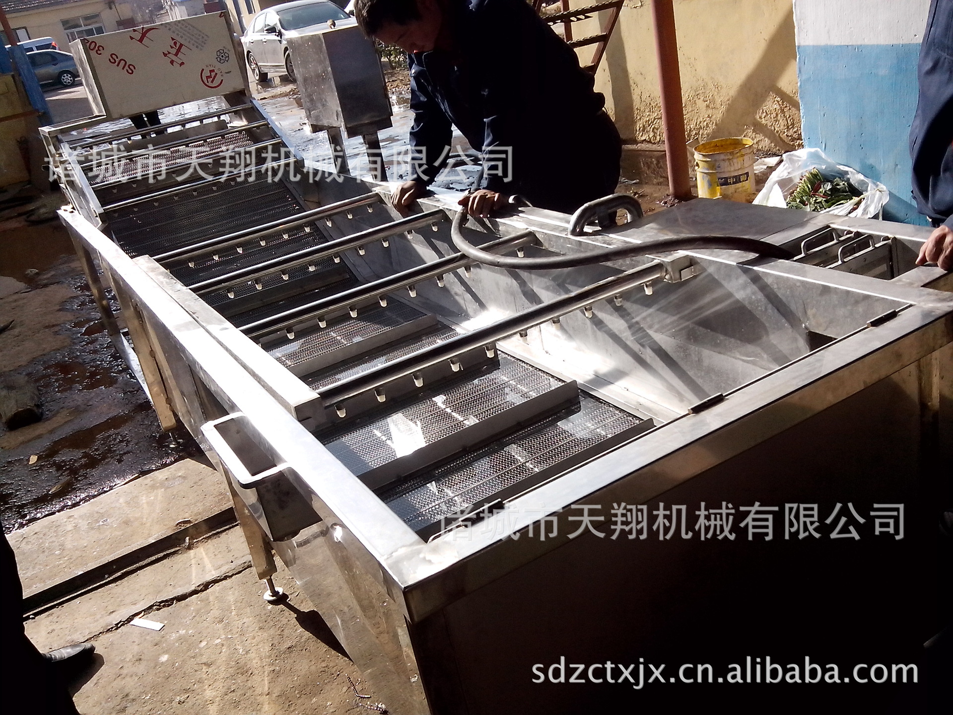 葡萄干清洗机   品质保证蔬菜水果清洗机 果蔬清洗机自动清洗