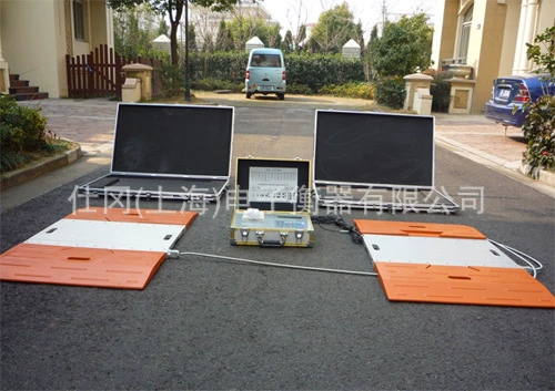 10 тонн 15 тонн 20 тонн 30 тонн 50 тонн 60 тонн 80 тонн 100 тонн портативный автомобильный баланс