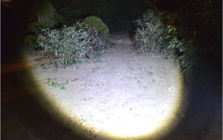 872069090_1692191087