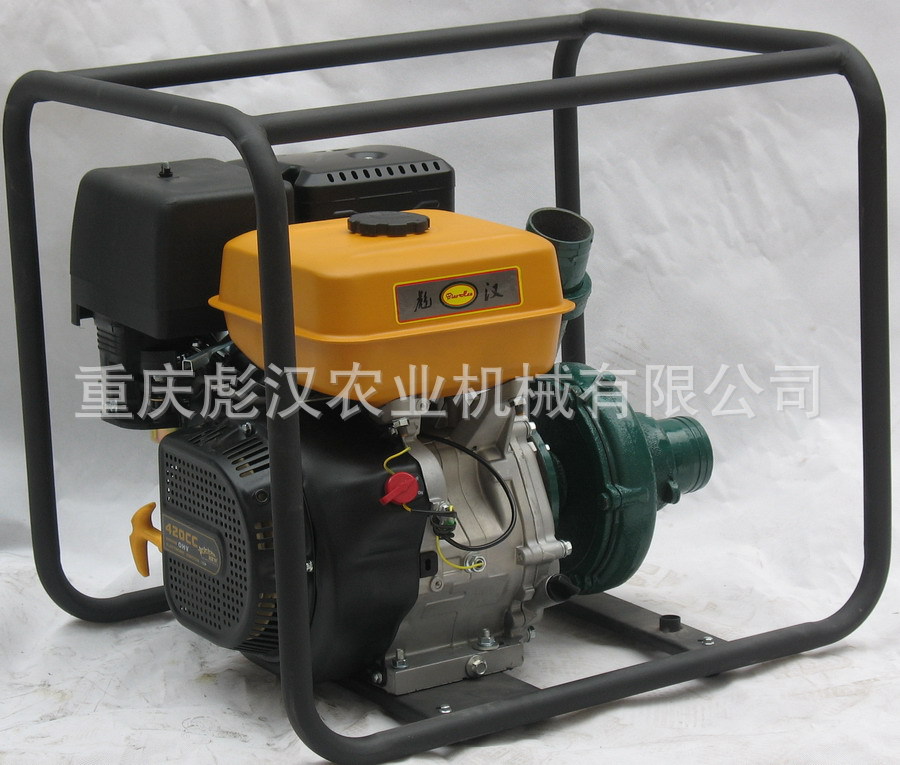 供应13马力,高扬程,大功率,大流量的汽油抽水机,190F汽油水泵